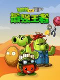 破镜重圆前任天天想复婚